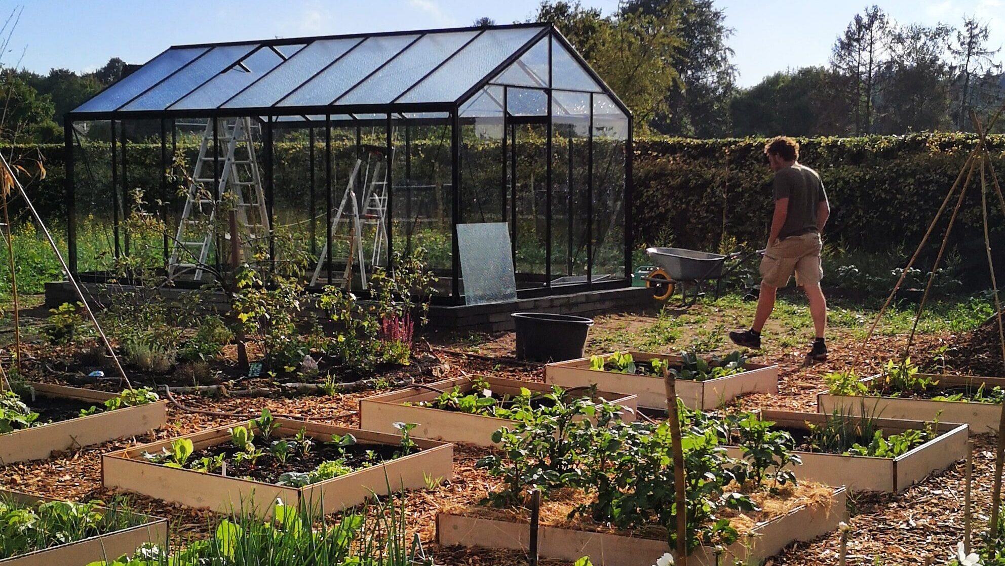 Permacultuur in de moestuin: zo begin je