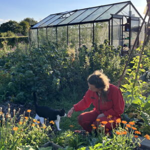 Cursisten Wilde school