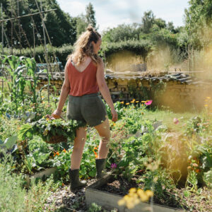 Complete cursus 'Moestuinieren met permacultuur'